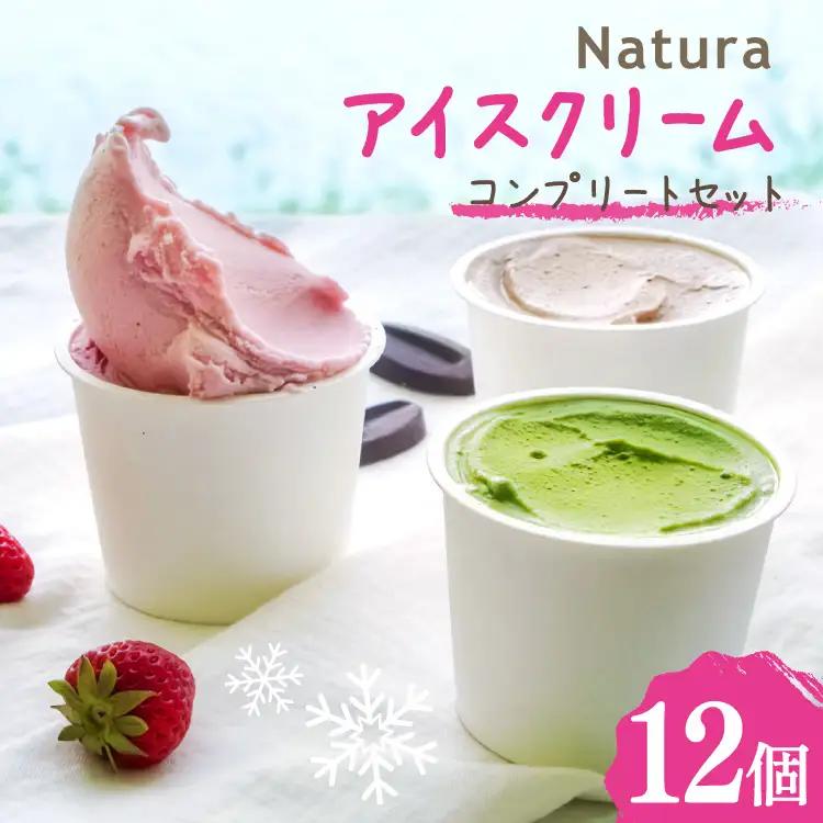 アイス ナチューラのアイスクリーム コンプリート 12個入り [ナチューラ 徳島県 北島町 29am0010]