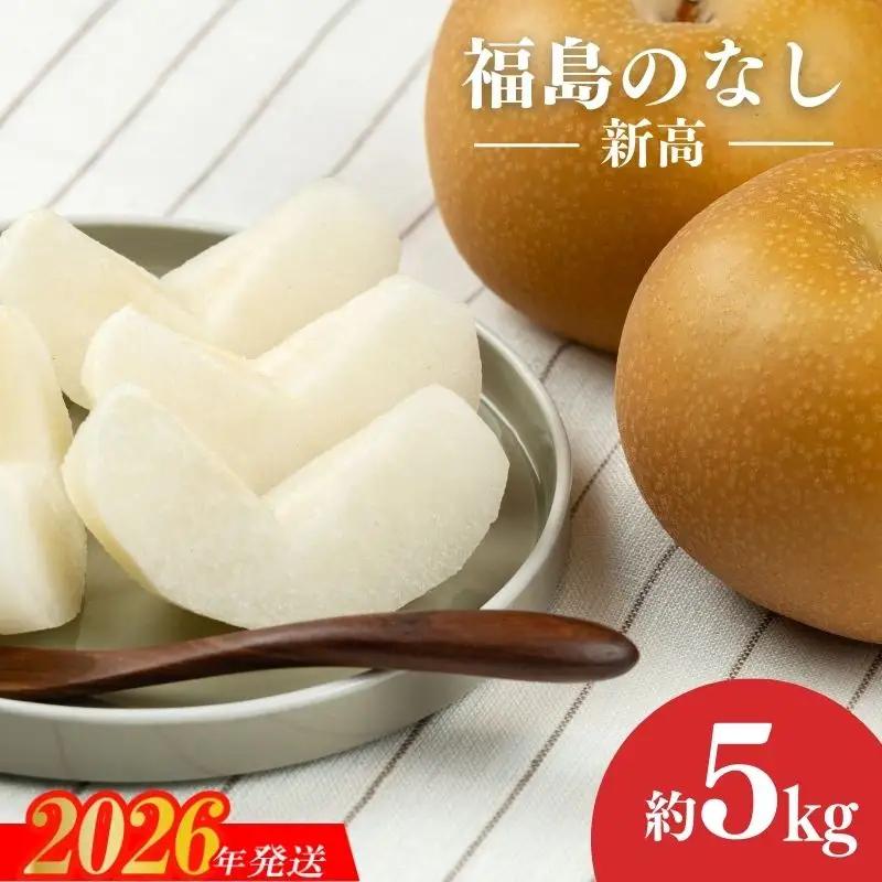 No.1722梨　なし　新高　約5kg　【2026年発送】
