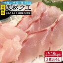 【ふるさと納税】天然クエ（18キロ台・3枚おろし） 《壱岐市》【壱岐島　玄海屋】[JBS092] 1510000 1510000円 151万円 のし プレゼント ギフト 冷蔵配送