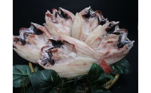 大秀商店 のどぐろ（中）5尾入り 魚 干物 干もの のどぐろ ギフト 贈答 個包装 小分け セット 冷凍 アカムツ 【038_1294】