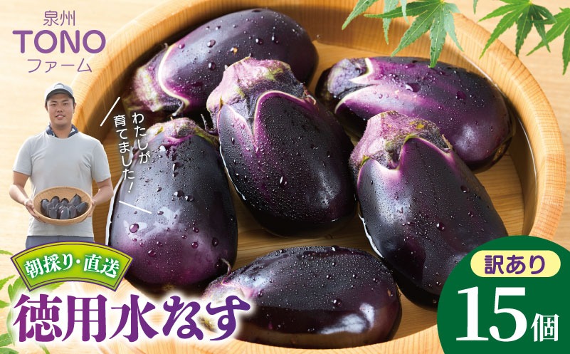 G5564 【先行予約】朝採り直送 徳用水なす 15個【食べ比べ 新鮮 野菜 泉佐野産 茄子 やさい TONOファーム 訳あり 規格外】