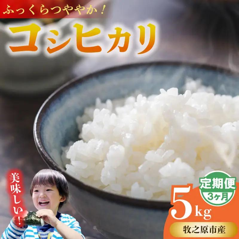 【3ヶ月定期便】 コシヒカリ 5kg × 3回 無洗米 牧之原市 静岡県 山本耕業
