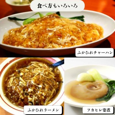 ふるさと納税 宮城県 【宮城県気仙沼産】フカヒレ姿煮　400g |  | 02