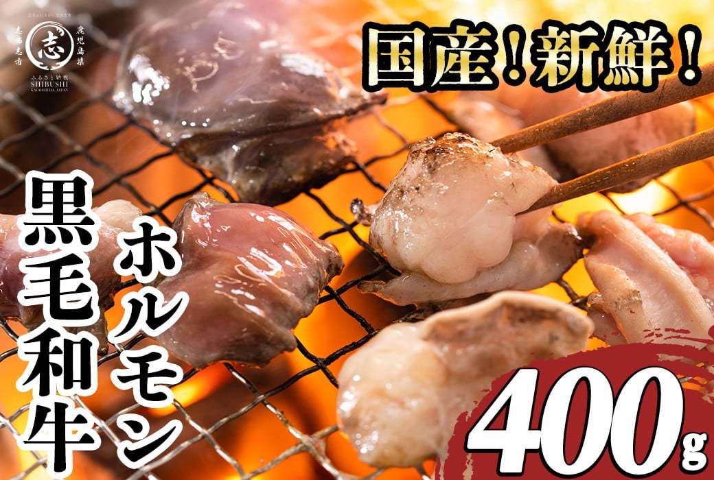 
            国産黒毛和牛ホルモン 焼肉用 (400g) 黒毛和牛 肉 牛肉 国産 焼肉 バーべキュー 小分け もつ鍋 モツ鍋 ホルモン p9-043
          