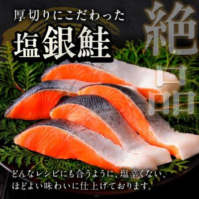 ふるさと納税 京丹後市 【訳あり・不揃い】お手軽!絶品!厚切り 塩銀鮭切身 (プロトン凍結)約1kg　肉厚なさけの切身 |  | 01