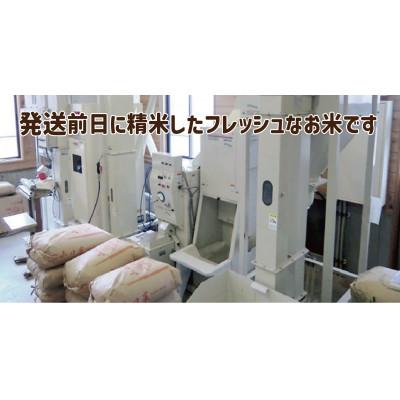 ふるさと納税 真庭市 【令和8年 新米予約 10月発送】3回日本一米と同種 いのちの壱 白米 10kg 5kgx2 岡山産 |  | 03
