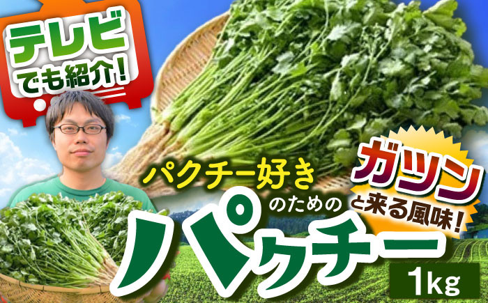 
            ＜満天☆青空レストランでご紹介＞パクチー好きのためのパクチー 1kg 江口農園[UBF009] 野菜 パクチー 本場のパクチー
          