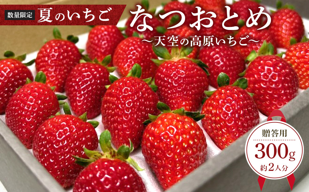 【限定販売】夏のいちご「なつおとめ」天空の高原 いちご プレミアムギフト 計300ｇ 贈答用 化粧箱入り 約2人分　期間限定 数量限定 いちご イチゴ 苺 フルーツ 果物 スイーツ 産地直送  日光市 栃木県