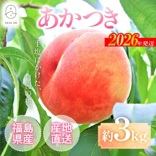 【ふるさと納税】No.2668もも「あかつき」約3kg【2026年発送 先行予約】