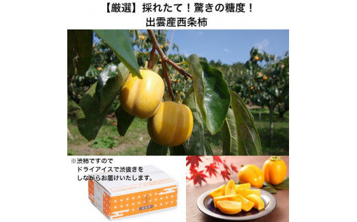 【定期便】【柿専業の農家が作る】3種の採れたて柿とスイーツセット