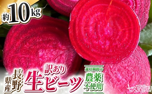訳あり ビーツ 約10kg | 野菜 ビーツ レッドパワー レッドパワービーツ 定期 長野県 信州 南信州 飯田市