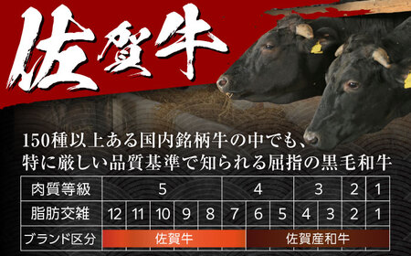佐賀牛切り落とし 計750g（250g×3パック） / 切り落とし 佐賀牛 黒毛和牛 [41AOCW018]