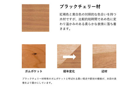 【Ritzwell】RIVAGE　EASY CHAIR　-ブラックチェリー材- 椅子 スツール[AYG039]