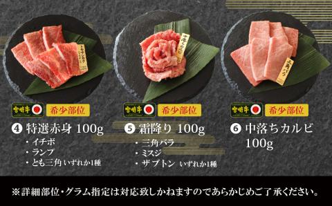 宮崎牛特選食べ比べ焼肉6点盛り<合計600>