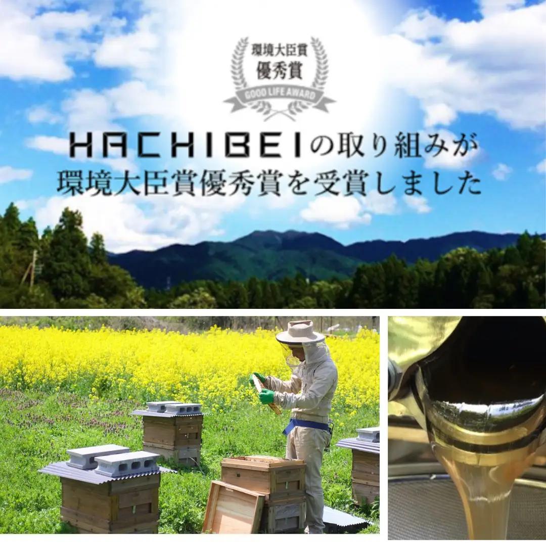 【令和8年産新米予約】【環境大臣賞受賞】【特別賞受賞】6ヶ月定期便 無洗米 コシヒカリ 5kg×6回 計30kg 農家直送 ほんのり甘い「はちみつ農法」 白米 精米 HACHIBEI 八米 新潟県 米