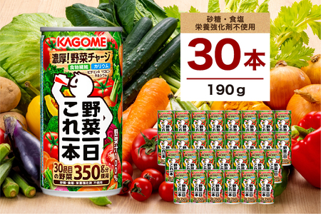 カゴメ 野菜一日これ一本 190g 30本 ns111-014-30 KAGOME 野菜 ｼﾞｭｰｽ 飲料 ﾄﾏﾄ 食物繊維 ﾋﾞﾀﾐﾝ