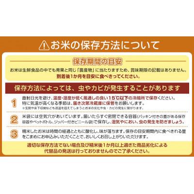 ふるさと納税 南魚沼市 【令和8年産】生産者限定『南魚沼しおざわ産コシヒカリ』玄米30kg |  | 01