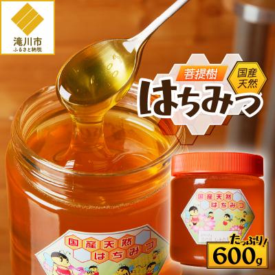 ふるさと納税 滝川市 【北海道滝川産】高見養蜂場の純粋はちみつ(菩提樹、シナの木600g×1本) 国産 天然 無添加 蜂蜜