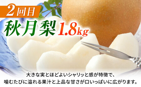 【先行予約】【3回定期便】 梨 約1.8kg 計約5.4kg（豊水・秋月・新高）  梨 ナシ フルーツ 果物 【日本フルーツ株式会社】[ZFJ069]