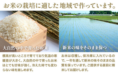 令和5年産 米 お米 こめ 荒木さんちのお米 くまさんの輝き 5kg 荒木農産 熊本県産 御船町《30日以内に発送予定(土日祝除く)》 コメ おこめ 熊本 御船 御船 白米 ごはん