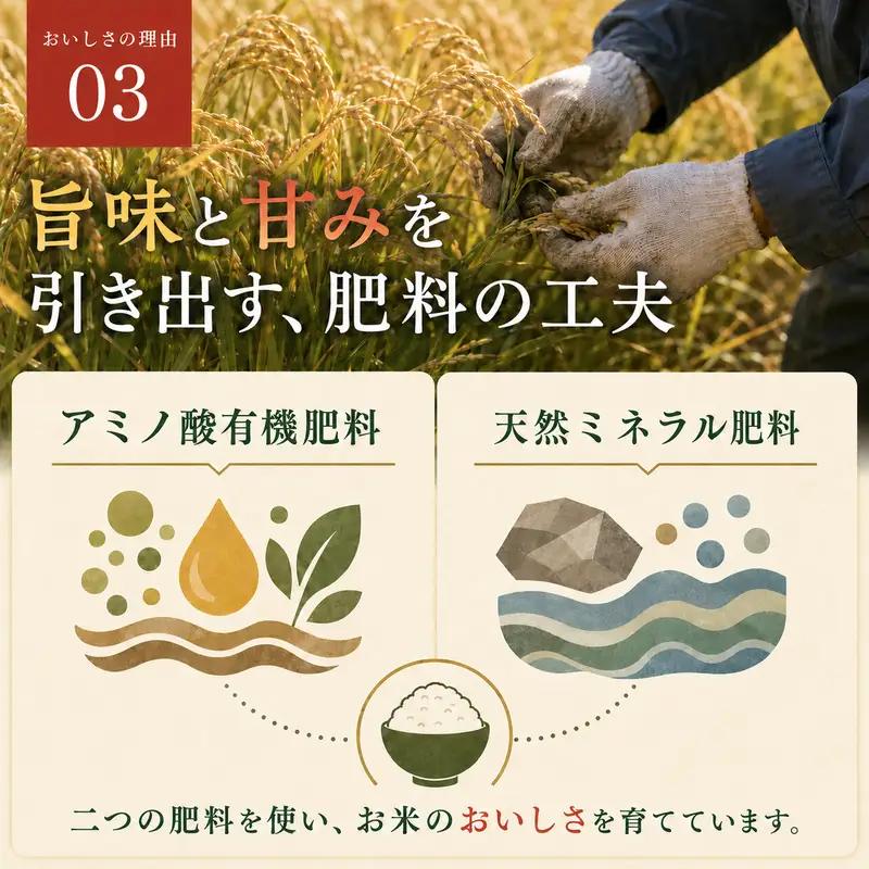 【先行予約】新米 コシヒカリ 20kg 秋山農場 コシヒカリ
