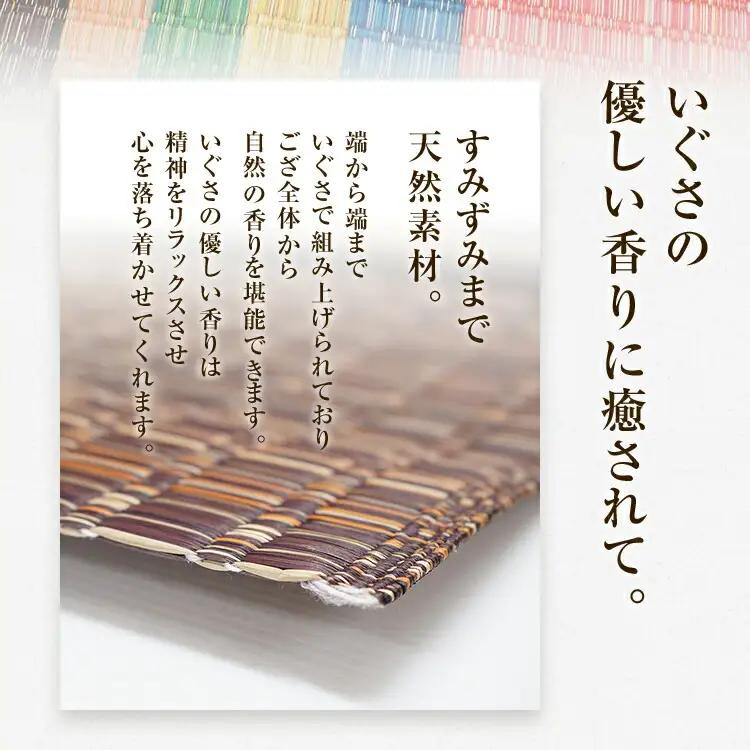 純国産天然いぐさ　「掛川　虹」３畳（茶色）　BG013