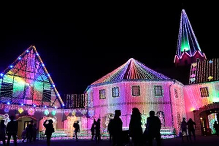 東京ドイツ村 入場チケット 1枚 [0470]