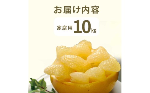 【先行予約】文旦 約10kg 10キロ L～4Lサイズ 土佐文旦 みかん 柑橘 ぶんたん ブンタン 果物 フルーツ デザート おやつ 三愛果樹園の土佐文旦 おいしい 美味しい 規格外品 お取り寄せ 常