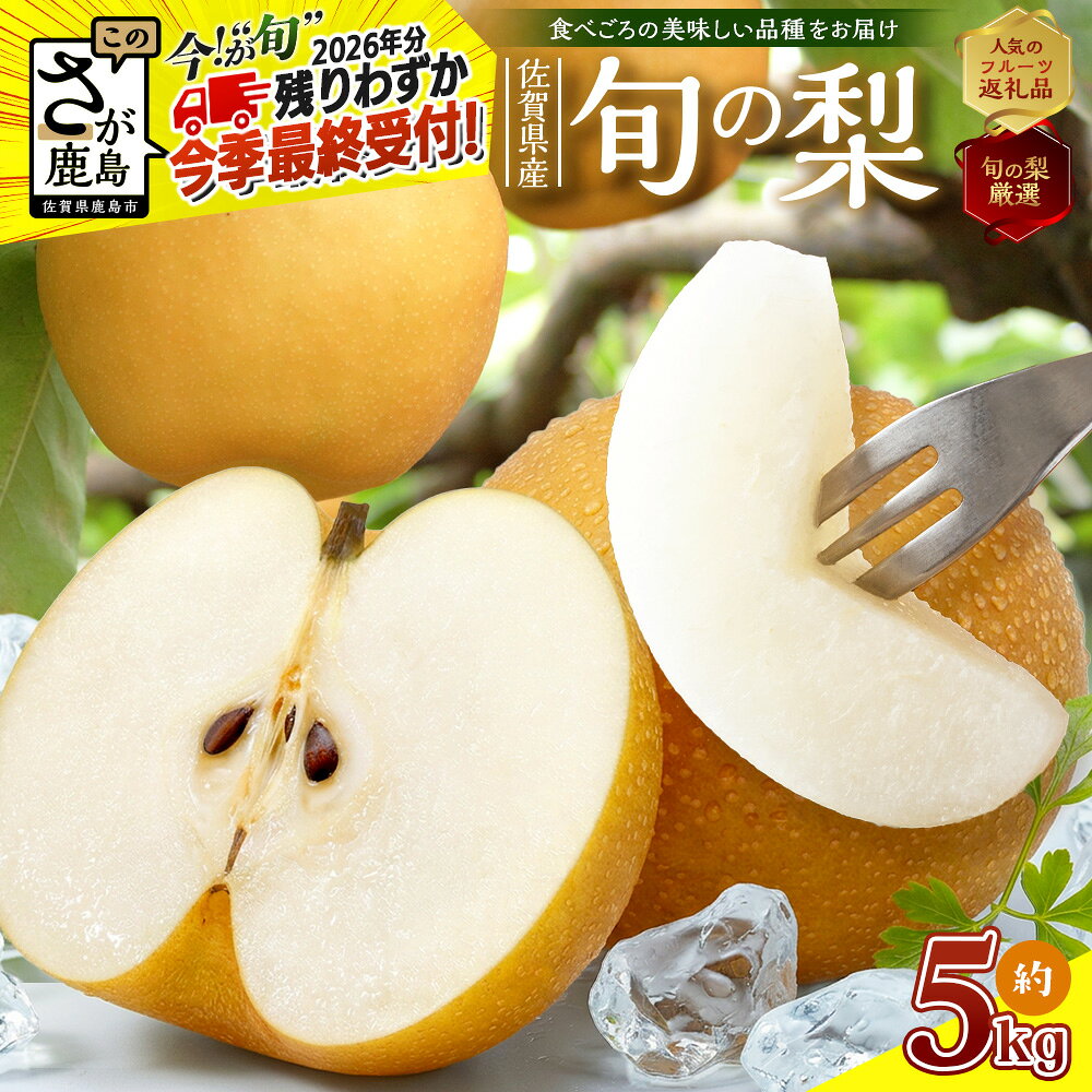 【ふるさと納税】【受付終了間近！残りわずか】佐賀県産 美味しい梨 約5kg | ふるさと納税 梨 なし 果物 フルーツ 果実 贈答用 お取り寄せ ギフト 国産 佐賀県産 佐賀県 鹿島市 ふるさと 人気 送料無料 おくりもの プレゼント　B-875