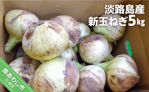 淡路島産　新玉ねぎ5㎏