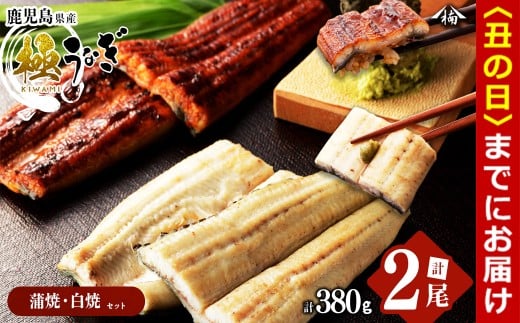 【丑の日までに配送】楠田の極うなぎ蒲焼190g以上×1尾・白焼190g以上×1尾(計380g以上) 山椒付たれ 鰻 ウナギ 蒲焼 白焼き うな重 ひつまぶし 鹿児島 冷凍 おかず お祝い 食べ比べ a7-022-us