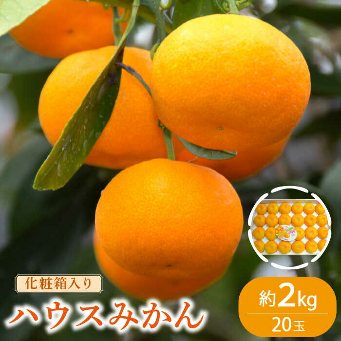 【ふるさと納税】【2026年6月中旬〜発送】ハウス みかん 約2kg / みかん ミカン 蜜柑 果物 フルーツ 贈答用 化粧箱 / 南島原市 / 島原雲仙農業協同組合 東南部基幹センター [SAC003]