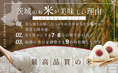 【 最短 翌日発送 】 茨城県産 コシヒカリ 10kg ( 5kg ×2)  五つ星 お米マイスター 監修 こしひかり 国産 こめ コメ 米 精米 すぐ発送 人気 美味しい ランキング ふるさと納税 