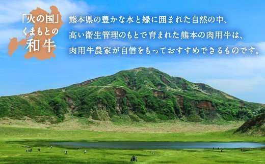 和牛 ロース すきやき用 400g 黒毛和牛 牛肉 すき焼き