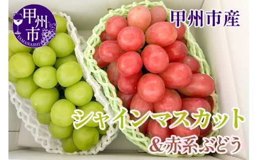 【クール配送】シャインマスカット＆赤系ぶどう 各1房（2房合計約1kg）【2025年発送】（KFT）B12-1810 【シャインマスカット 葡萄 ぶどう ブドウ 令和7年発送 期間限定 山梨県産 甲州市 フルーツ 果物】