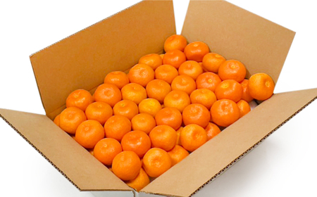 みかん 高島屋選定品＜先行予約＞味ロマン5kg（L?２Lサイズ）＜高島屋＞ [CFQ059] みかん