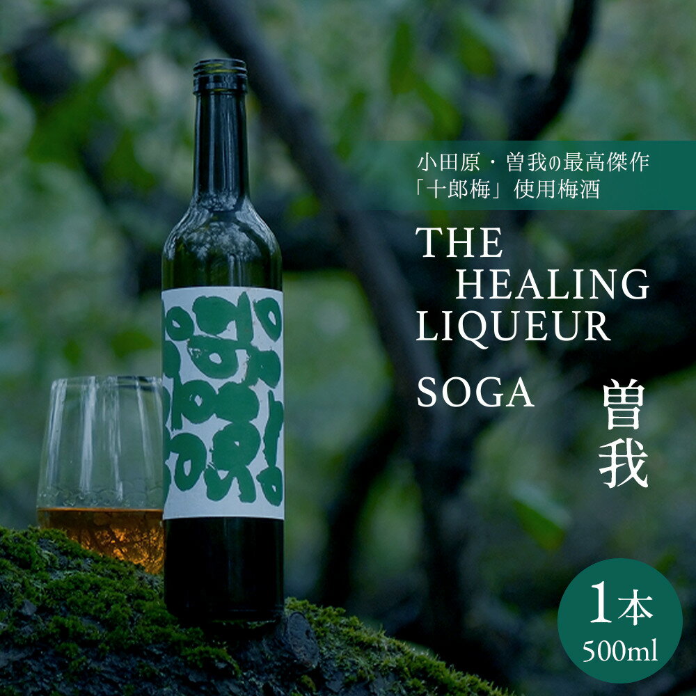 【ふるさと納税】【小田原・曽我の最高傑作「十郎梅」使用梅酒】THE HEALING LIQUEUR SOGA | 小田原市 梅酒 十郎梅 梅の名産地 お酒 ギフト プレゼント お取り寄せ 通販 ふるさと納税 人気 おすすめ 送料無料