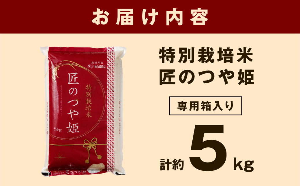 【令和７年産】特別栽培米匠のつや姫」５ｋｇ 【058_1859】