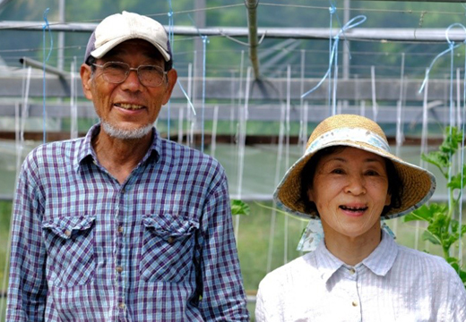 囲生姜 約1.2kg 生姜 しょうが ショウガ ジンジャー 囲い生姜  国産 薬味 辛み 香り スパイス 野菜 煮物 炒め物 ガリ 紅生姜 ジンジャーシロップ 生姜ジャム 土佐 産地直送 高知県 大月