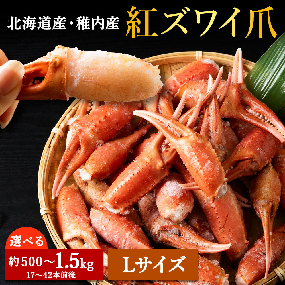【ふるさと納税】稚内産紅ズワイガニハサミ爪 Lサイズ 選べる約500g～約1kg 解凍するだけの手間いらず ズワイガニ ズワイ蟹 かに カニ 蟹 北海道 ギフト プレゼント 贈り物 お中元 【配送不可地域：離島・沖縄県】