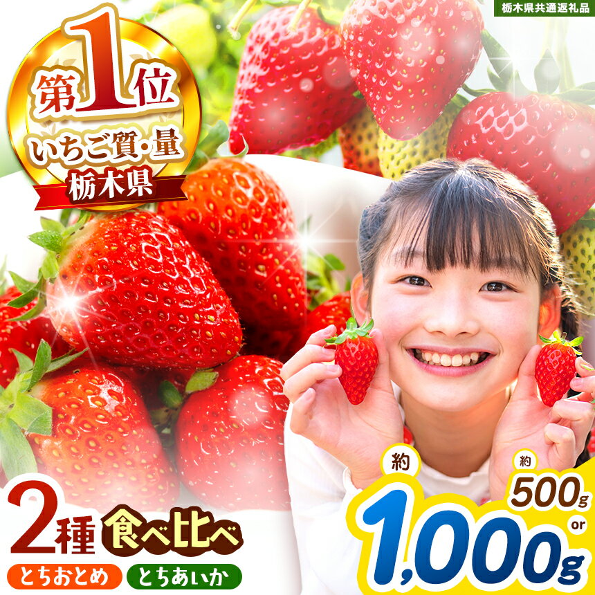 【ふるさと納税】【選べるグラム数】楽天限定! とちおとめ・とちあいか 食べ比べセット ＜2026年1月から2026年4月までの期間で収穫・順次発送予定＞【栃木県共通返礼品】｜選べる ご褒美 苺 果物 イチゴ 甘い スイーツ 先行予約 とちおとめ とちあいか 栃木県 矢板市