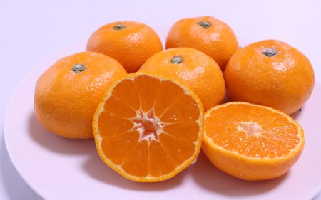 ＼ みかんの名産地 和歌山県産／ 農家直送 大玉 有田みかん 5kg （2L～3L） ひとつひとつ手選別で厳選【2025年11月下旬～1月中旬ごろに順次発送予定】 | みかん フルーツ 果物 くだもの