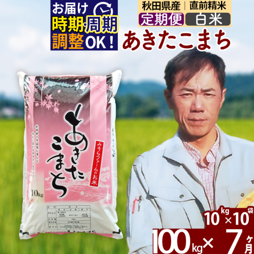 ※令和7年産※《定期便7ヶ月》秋田県産 あきたこまち 100kg【白米】(10kg袋) 2025年産 お届け時期選べる お届け周期調整可能 隔月に調整OK お米 みそらファーム