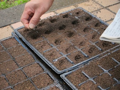 【日時指定可能】藍染めストール（絹）~ストライプショール房付き~ ならは藍染め会 【 ストール 絹 ギフトラッピング  贈り物 プレゼント 藍 手作り ハンドメイド 福島 楢葉】