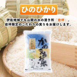 isa520-B 【定期便6回】 ＜無洗米＞令和5年産 鹿児島県伊佐南浦産ひのひかり (合計60kg・計10kg×6ヵ月) 国産 白米 精米 無洗米 伊佐米 お米 米 生産者 定期便 ひのひかり【Fa