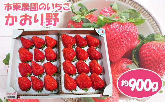 
            No.074 【市東農園のいちご】かおり野　約900g ／ フルーツ イチゴ 苺 千葉県
          