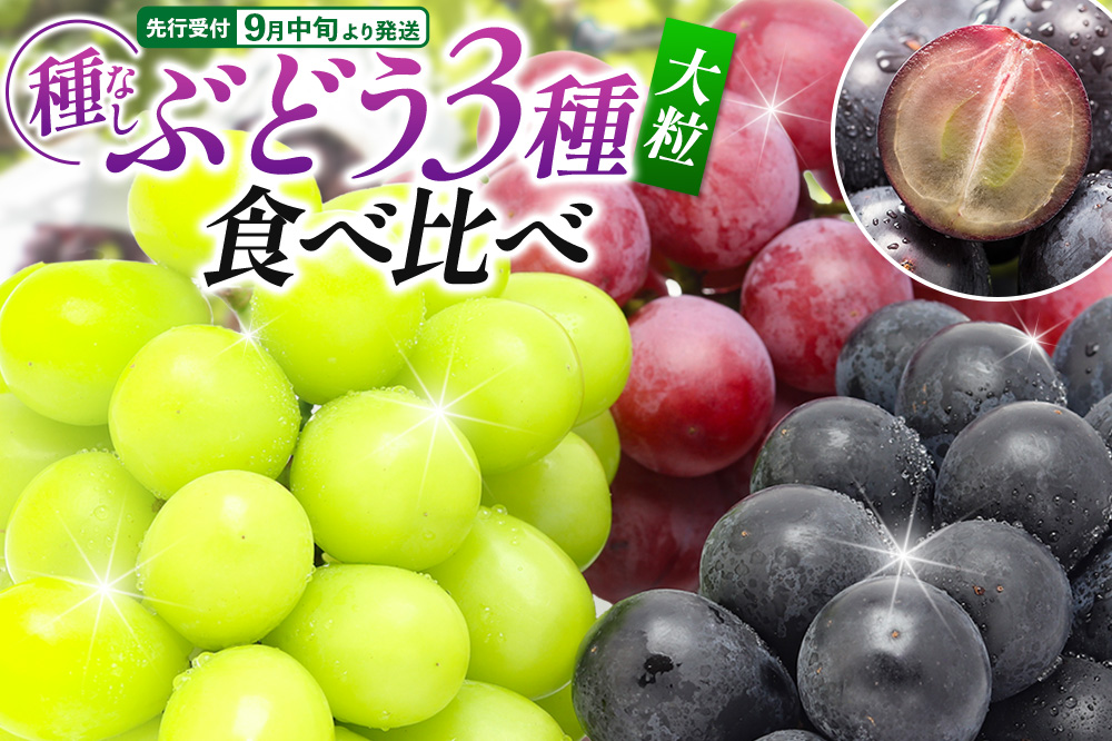 【先行受付】9月中旬より発送 【ぶどう3種食べ比べ】濃甘な完熟葡萄 横手市大沢地区産 旬な種無し大粒品種ぶどう 3種類詰合せ  巨峰 ピオーネ シナノスマイル クィーンニーナ タマユタカ 翠峰 ぶどう ブトウ 種なし 詰め合わせ 食べ比べ フルーツ 果物 秋田
