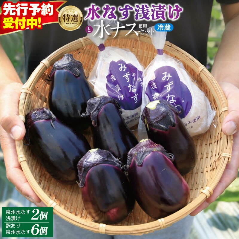 先行予約 水なす漬け 2個 徳用水なす 6個 セット 特選 無添加 大阪エコ農産物の認定 ナス 自家製 朝採れ こだわり おひたし てんぷら お取り寄せ お取り寄せグルメ 送料無料 食品 レビュー 口コミ 食べ物 冷蔵