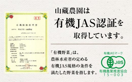 飛騨高山産 季節の有機栽培お野菜セット（お試し）お届け：6月〜10月｜お試し 新鮮  有機野菜 旬野菜 地元野菜 やさい 農園 高山市 山藏農園 JC021