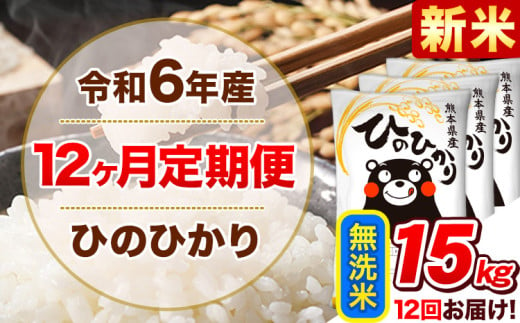 令和6年産新米 【12ヵ月定期便】 無洗米 ひのひかり 定期便 15kg 5kg×3袋《お申込み翌月から出荷開始》 熊本県産 精米 ひの 米 こめ ヒノヒカリ コメ お米